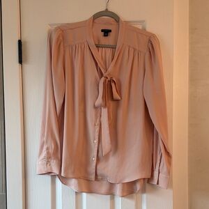 Ann Taylor Blush Blouse